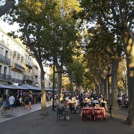 Beau Refait A Neuf Centre Avec Clim Balcon * 纳博讷